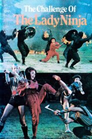 The Challenge of the Lady Ninja 1983 on netflix