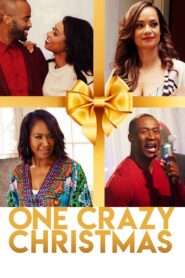 One Crazy Christmas 2018 on netflix