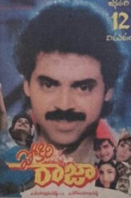 Pokiri Raja 1995 on netflix