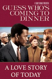 A Love Story of Today 2008 on netflix