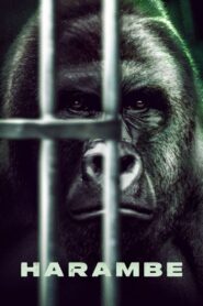 Harambe 2023 on netflix