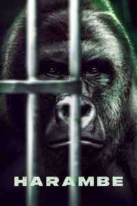 Harambe 2023 on netflix