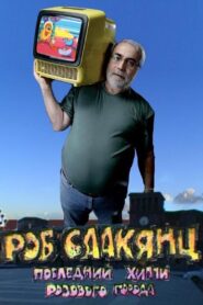 Rob Saakyanc. The Last Hippy of the Pink City 2010 on netflix