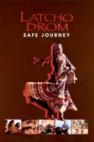 Safe Journey 1993 on netflix