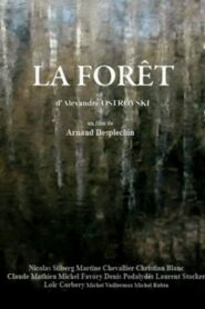 The Forest 2014 on netflix