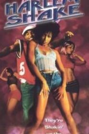 Harlem Shake 2003 on netflix