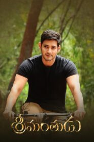Srimanthudu 2015 on netflix