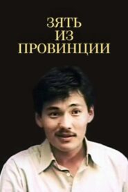 The Brother-in-law from the Country Side 1987 on netflix