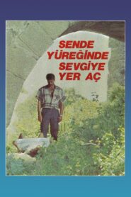 Sen De Yüreğinde Sevgiye Yer Aç 1987 on netflix