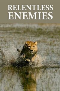 Relentless Enemies: Revealed 2022 on netflix