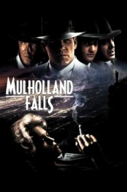 Mulholland Falls 1996 on netflix