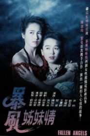 Fallen Angels 1991 on netflix