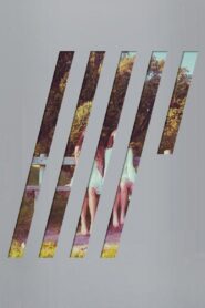 Steven Wilson: 4 ½ 2016 on netflix