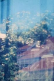 Suburban Windows 1981 on netflix