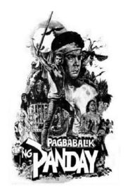 Pagbabalik ng Panday 1981 on netflix