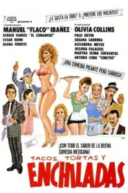 Tacos, tortas y enchiladas 1990 on netflix