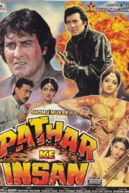 Pathar Ke Insan 1990 on netflix