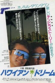 Hawaiian Dream 1987 on netflix