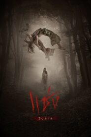 Curses 2019 on netflix