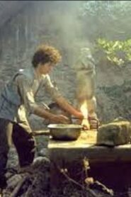 The Enchantress 1985 on netflix