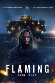 Flaming 2018 on netflix
