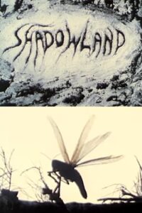 Shadowland 1988 on netflix