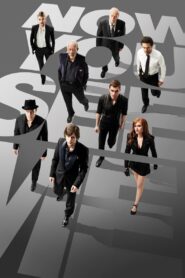 Now You See Me 2013 on netflix