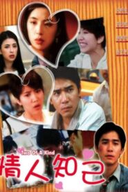 Two of a Kind 1993 on netflix