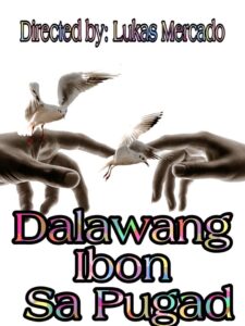 Dalawang Ibon Sa Pugad 2012 on netflix