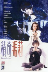 Sisters In Law 1992 on netflix