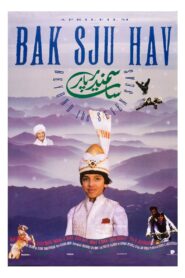 Beyond the Seven Seas 1991 on netflix