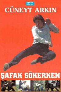 Şafak Sökerken 1988 on netflix