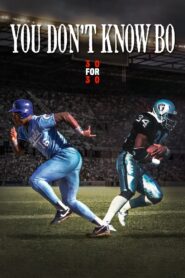 You Don’t Know Bo 2012 on netflix