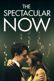 The Spectacular Now 2013 on netflix