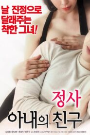 An Affair: My Wife’s Friend 2018 on netflix
