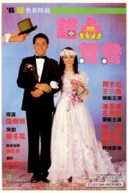 Love with the Perfect Stranger 1985 on netflix