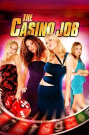 The Casino Job 2009 on netflix