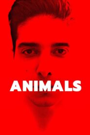 Animals 2022 on netflix
