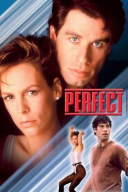 Perfect 1985 on netflix
