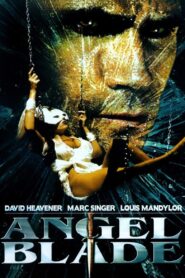 Angel Blade 2002 on netflix