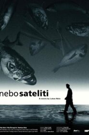 Celestial Body 2000 on netflix
