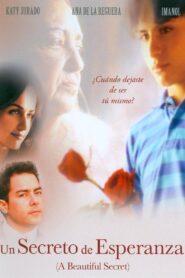A Beautiful Secret 2002 on netflix