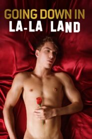 Going Down in La-La Land 2011 on netflix