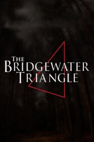 The Bridgewater Triangle 2013 on netflix