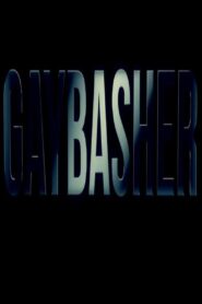 Gaybasher 2014 on netflix