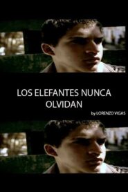 Elephants Never Forget 2004 on netflix