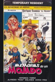 Memorias de un mojado 1988 on netflix