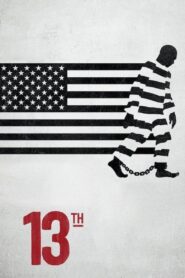 13th 2016 on netflix