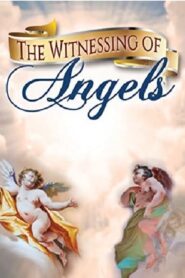 The Witnessing of Angels 2006 on netflix