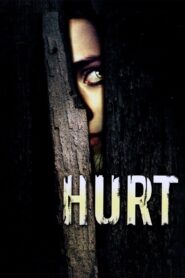 Hurt 2009 on netflix
